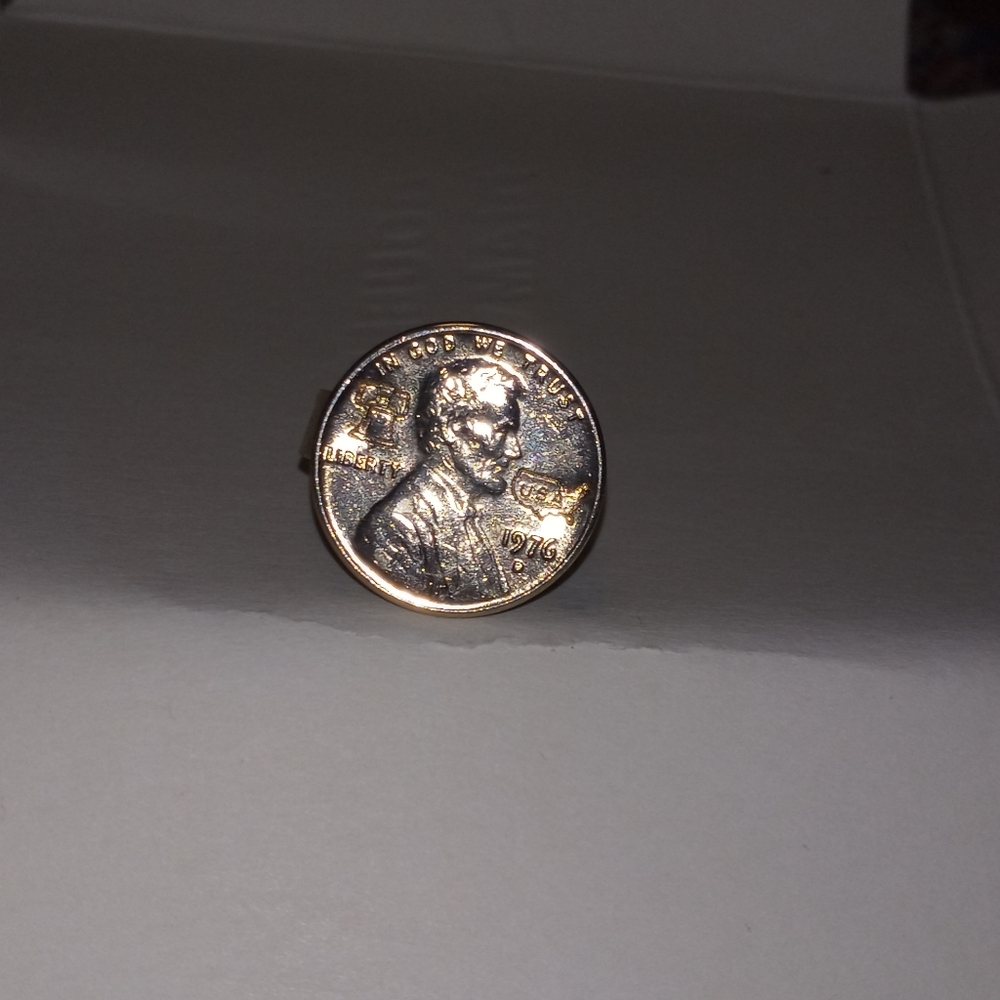 Bi-centennial punch out adjustable ring